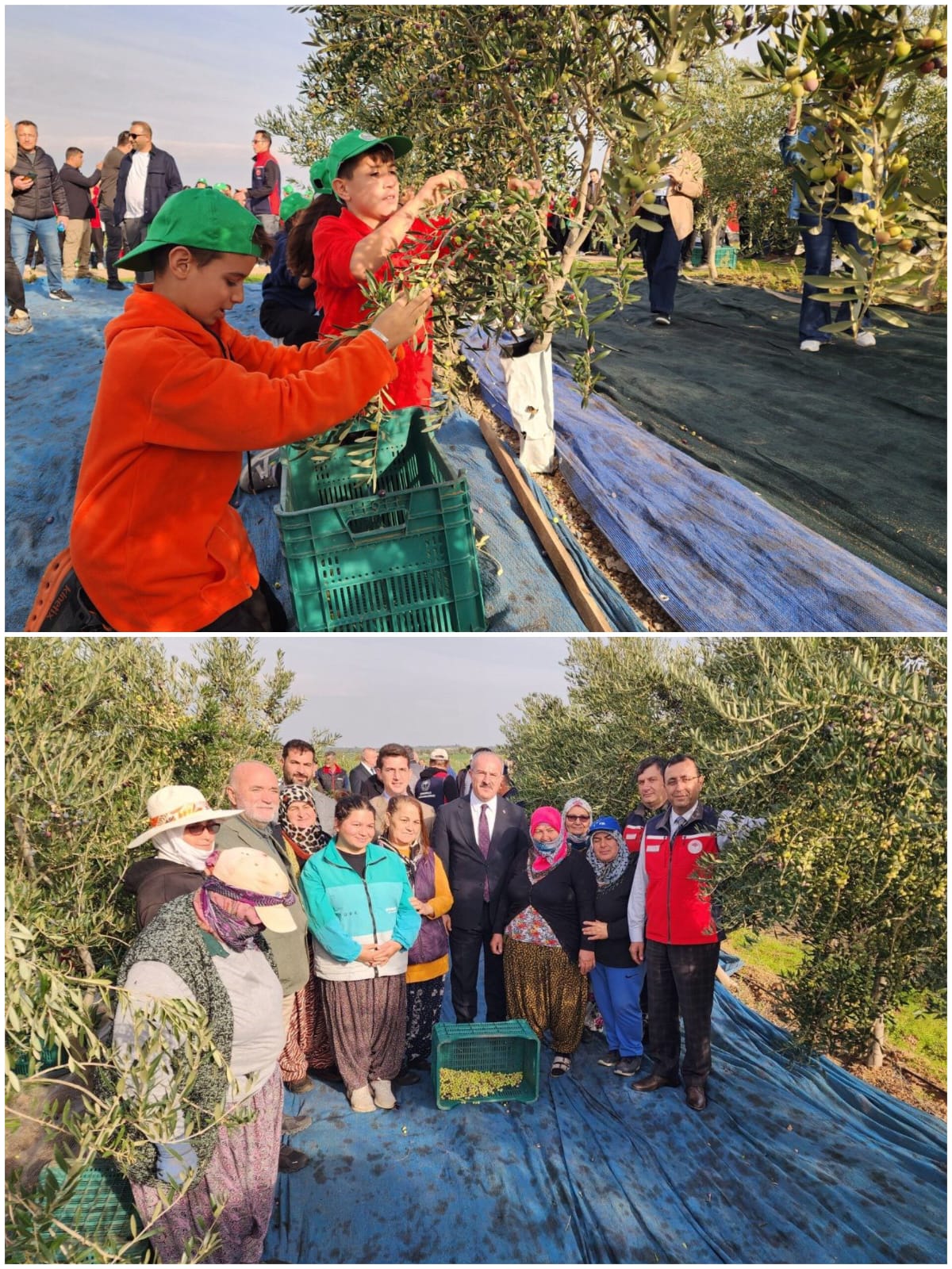 7Aefd631 Aa70 49Bc Ad36 55E8Daac768C