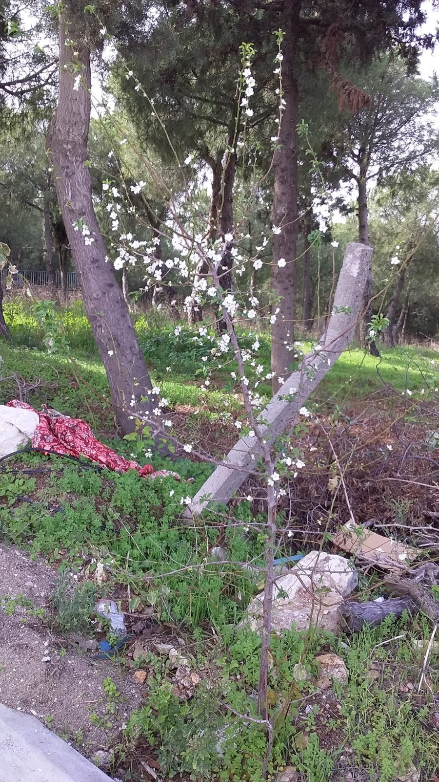 7Be3396C 8Cb3 4Dde 9E3B 6Ef1Eac81D03