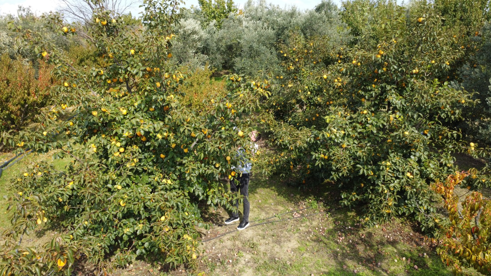 7C2073E1 98E9 4F6C 9Bdf A45802Ed5A1B