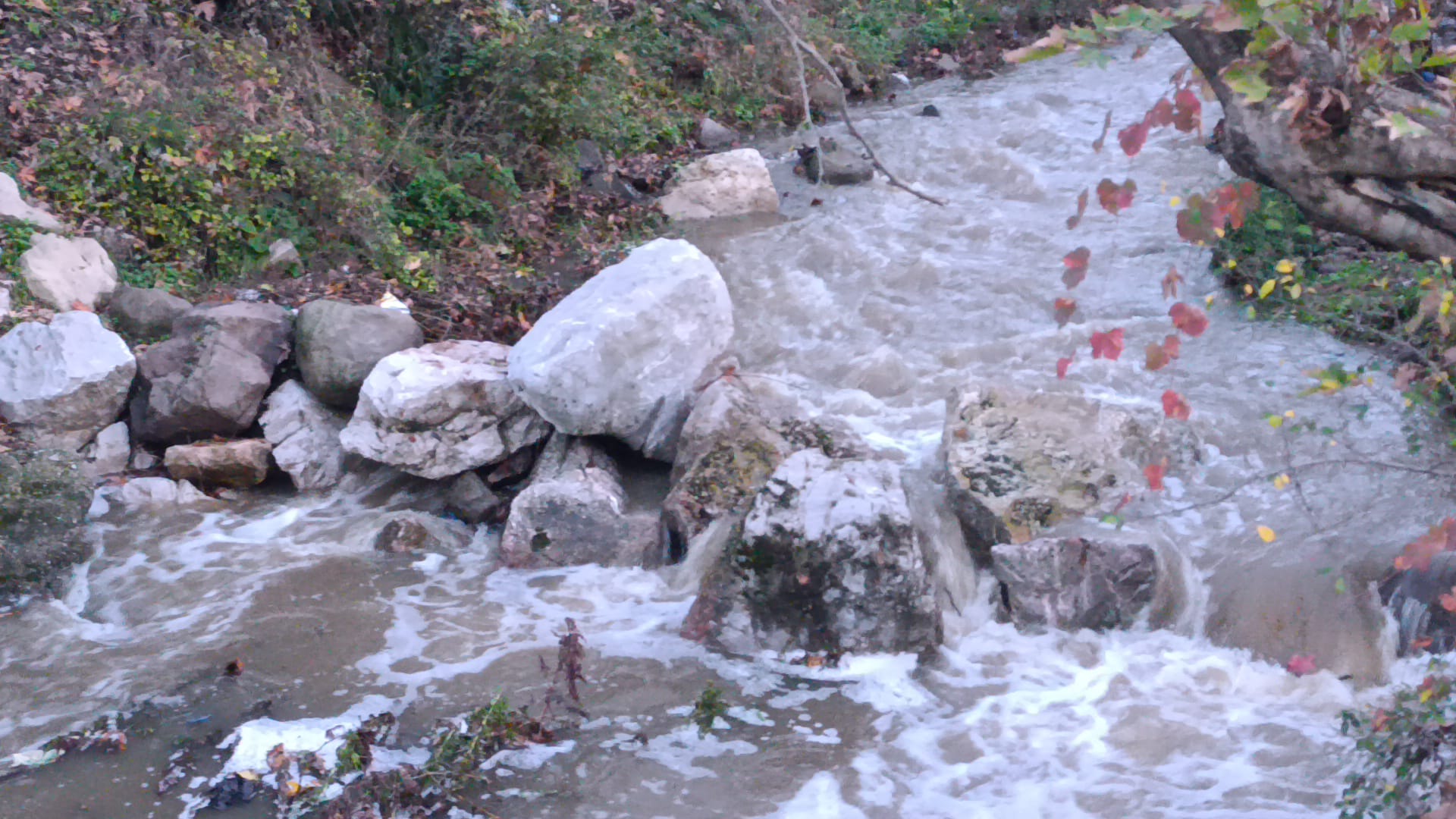 7Eb64F32 Fa53 437C B1E7 043B451Ba745