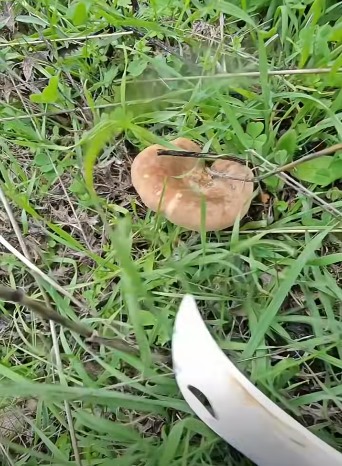 7Fe7E4Fc 0461 4240 9305 23643E240754