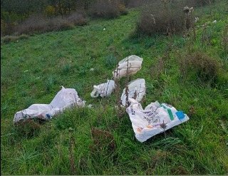 858A52Ca 1Af1 4260 B31B 50Dc121B43Dd