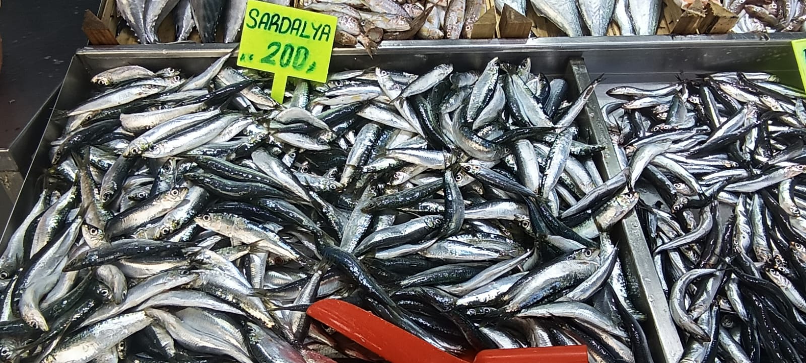 89E829Ab 2161 4B72 9237 290A931927E4