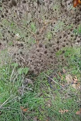 8Aada028 Ab39 4Ae7 869D Cc22Edc25847