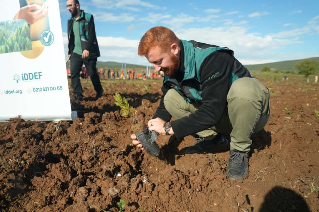 905B9672 4956 4B6C B509 351F7F1Cb81F