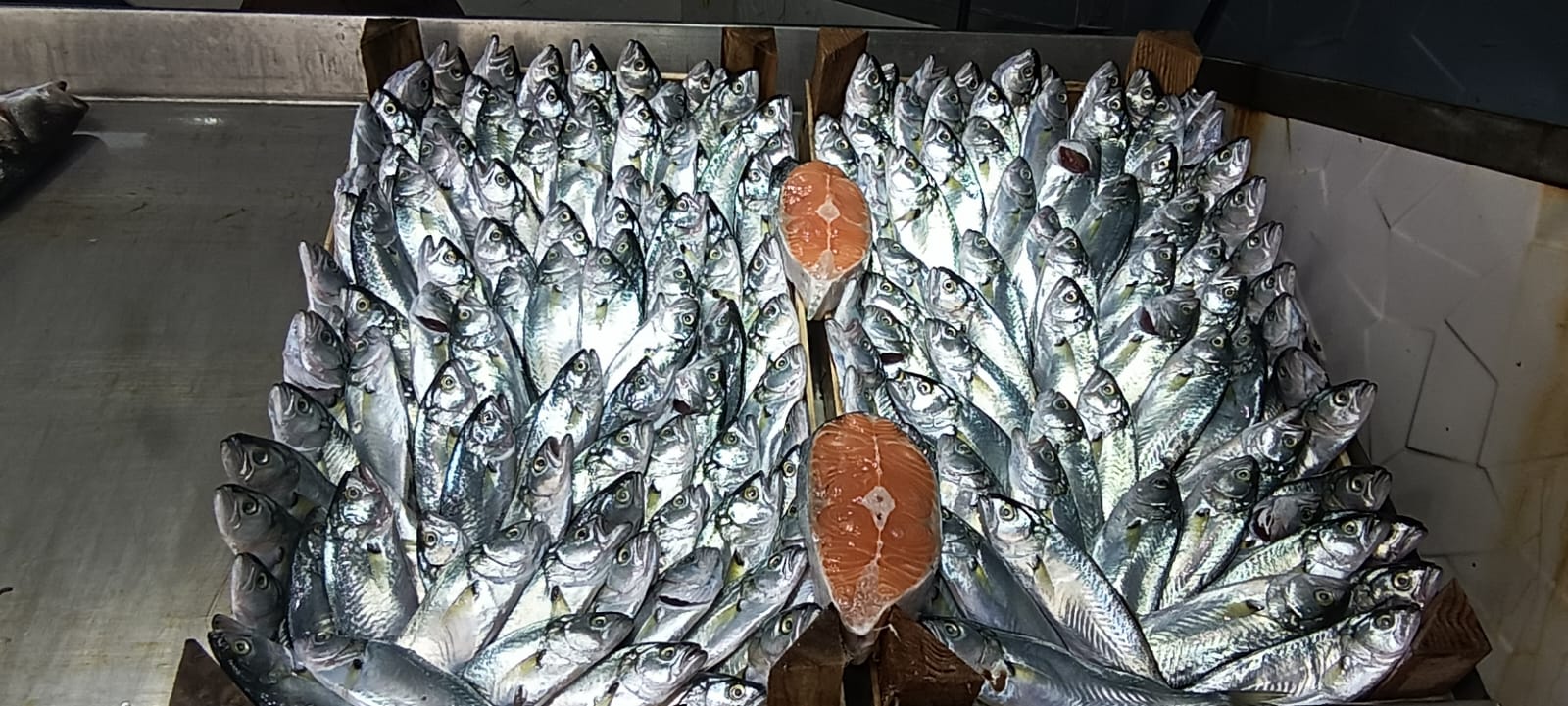 96Ab8689 Cb75 4A1B Be1F 1Da8971214Cd