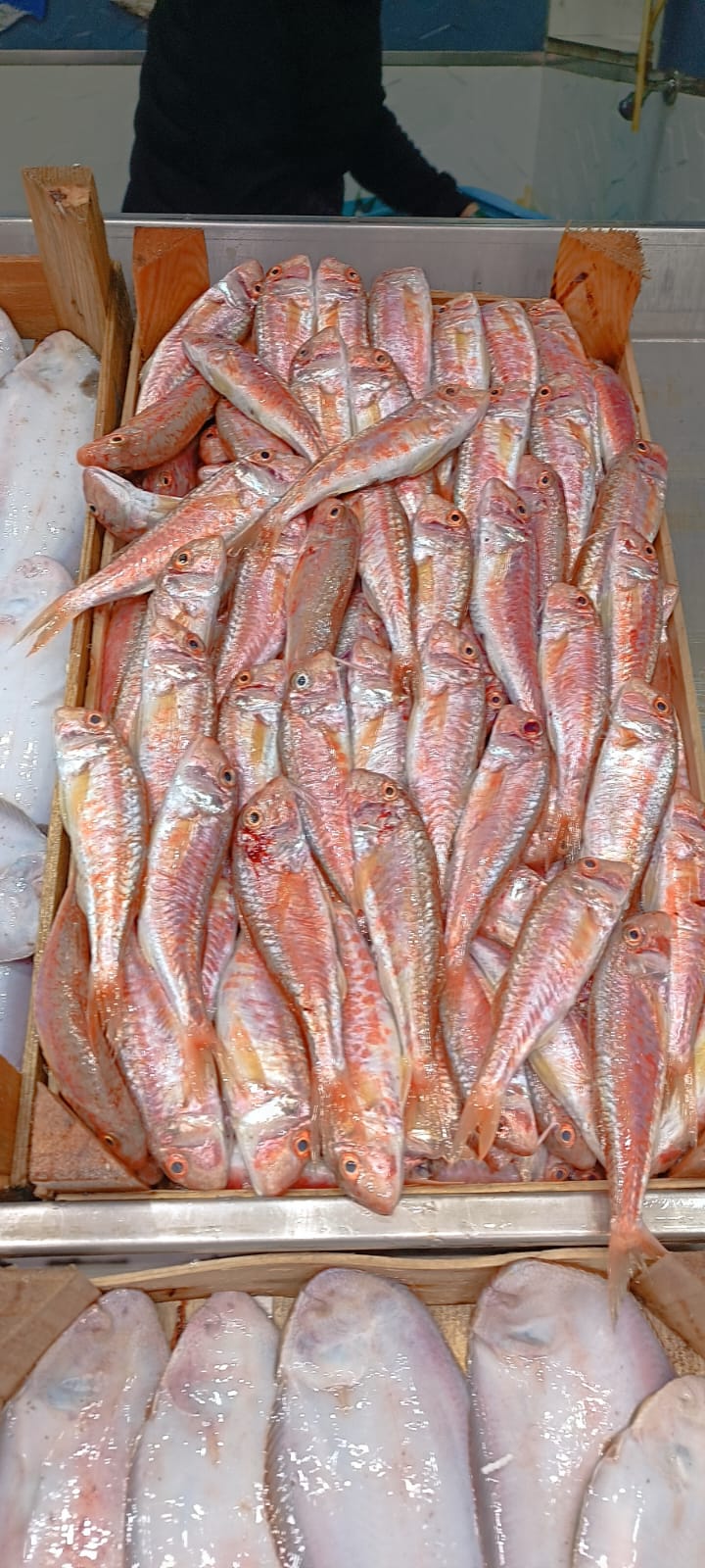 A15Afde7 2257 47E7 Bb03 1D98A7243Ef6