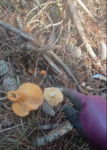 A17D5021 750D 4Ef9 94E5 641E3Be85463