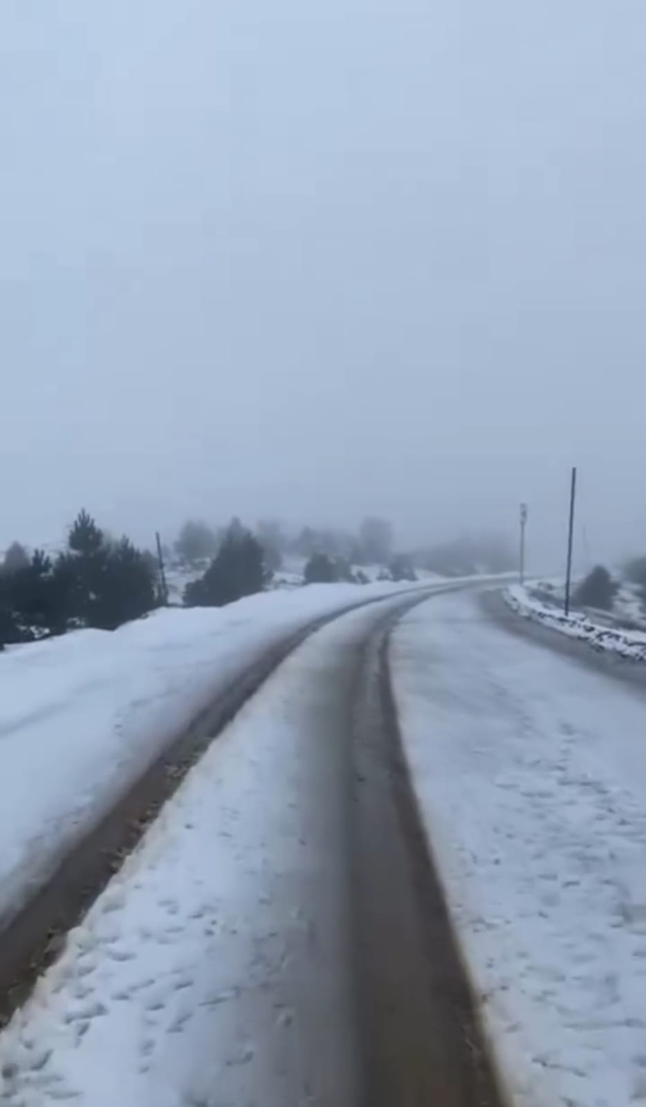 A223Bf28 8881 410C 8F4D Aa0745C6685F