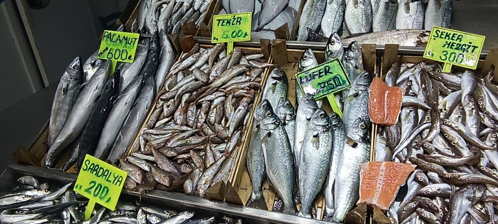 A3B63158 2F88 4A36 A563 785437036427