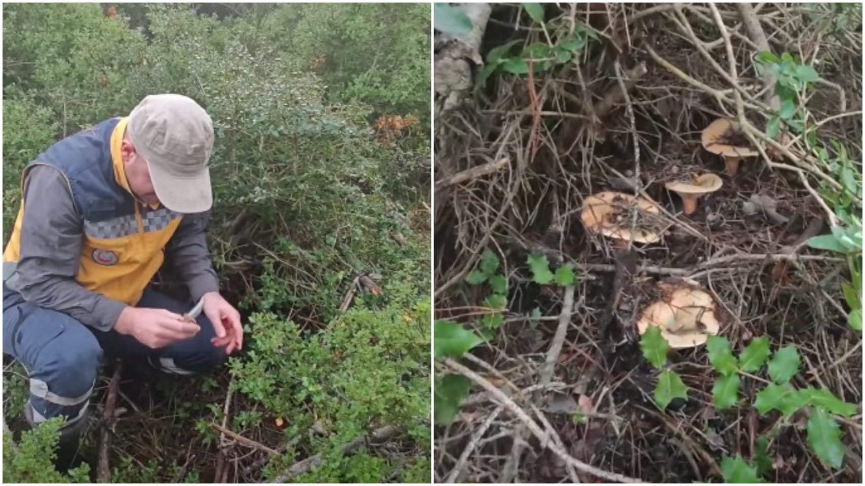 A7146033 54Dd 4B7C A845 Fdea87Ed58D8