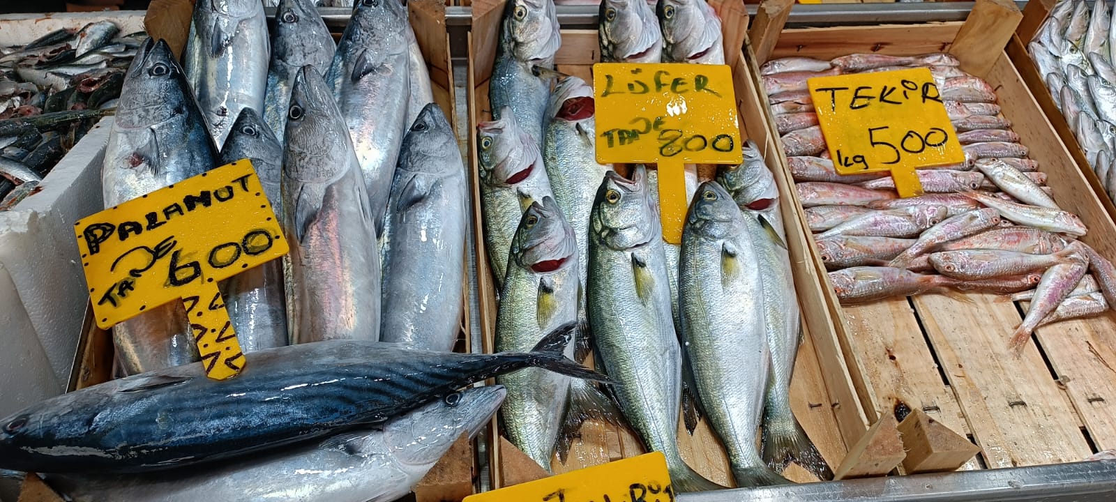 A9342915 D5F8 40C8 91B4 402Cd4A33E78