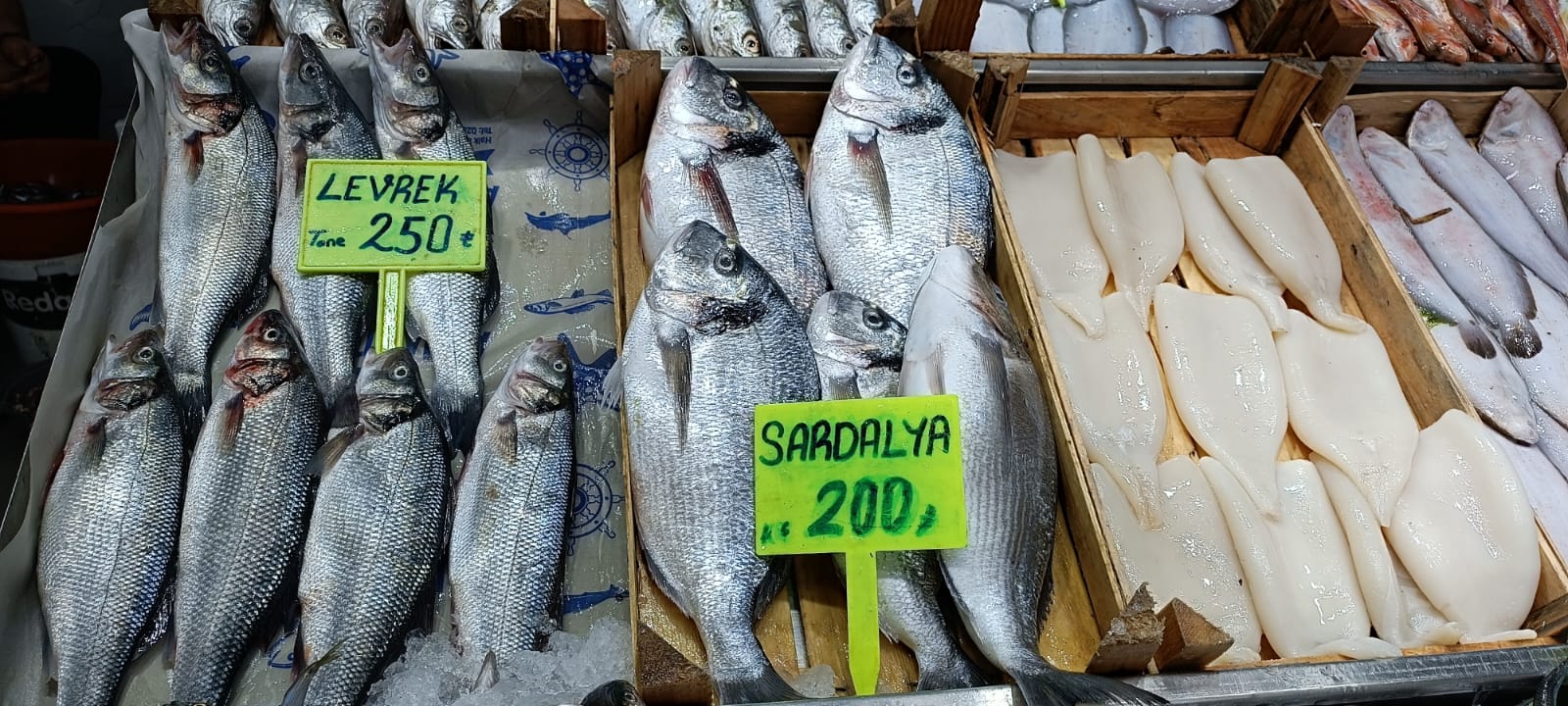 B0Bd52Ee B831 4F73 9358 2E3135A793E6