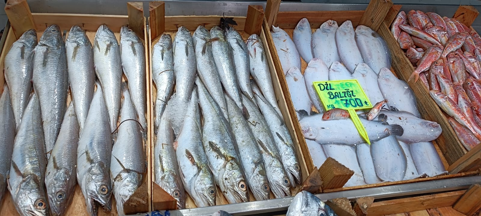 B520E470 C57D 4F4D A4C9 7E02C7C0A0B3