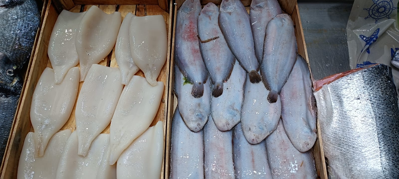 B6Aeff16 Ae8B 4C95 9Ce1 32Dd0C6C7354