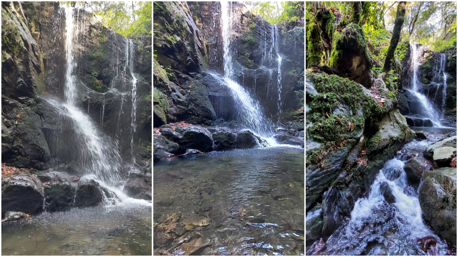 Bcc7C0Aa 6Abc 4Bbb 9Ee4 A33A66E995D2