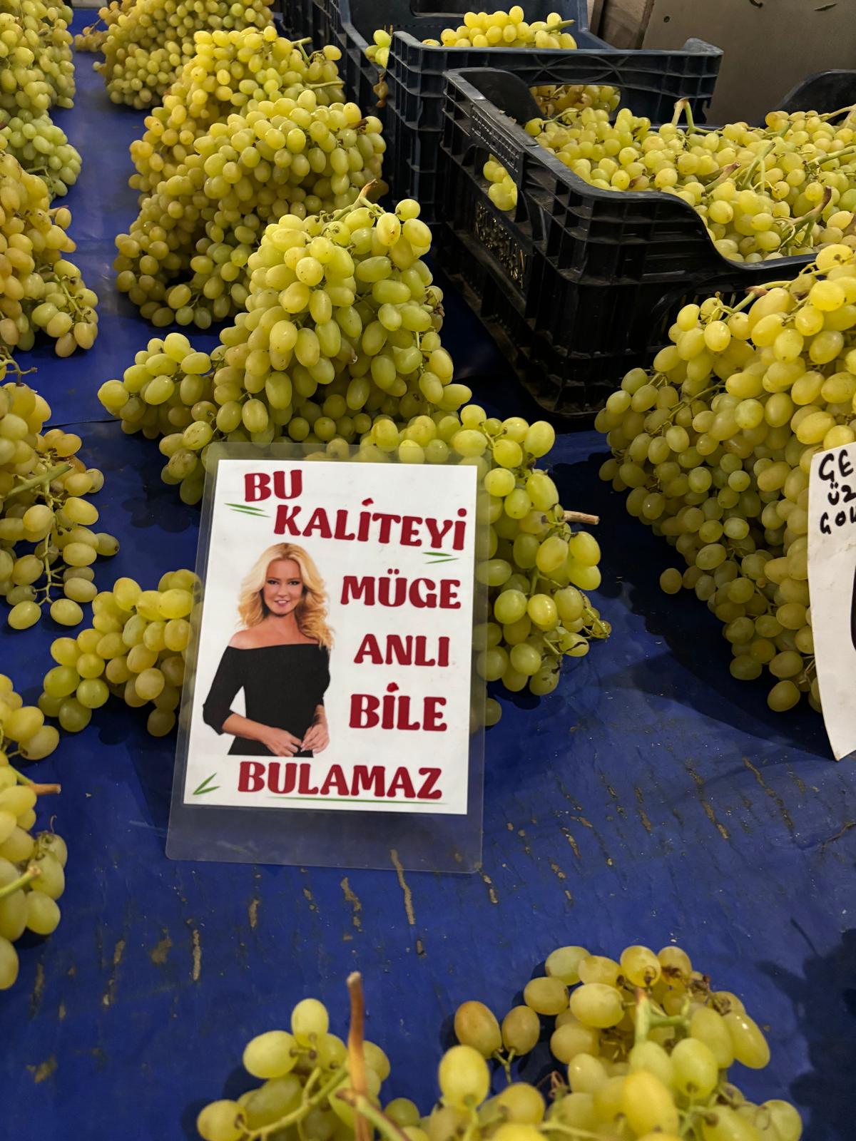 C1B4D571 Eb51 43E5 981D 0A8Dfab096Ed