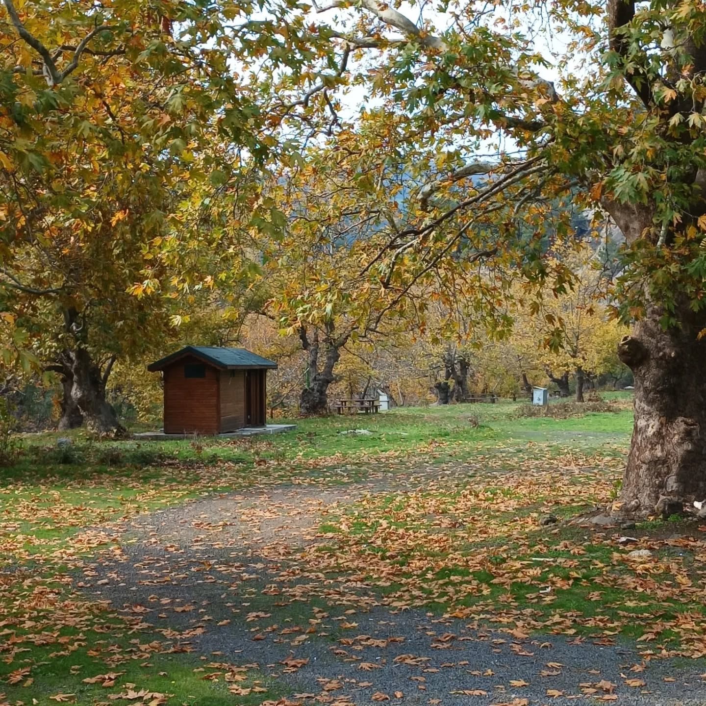 C842A773 467E 42C7 8904 Bd9Aa30Bc213