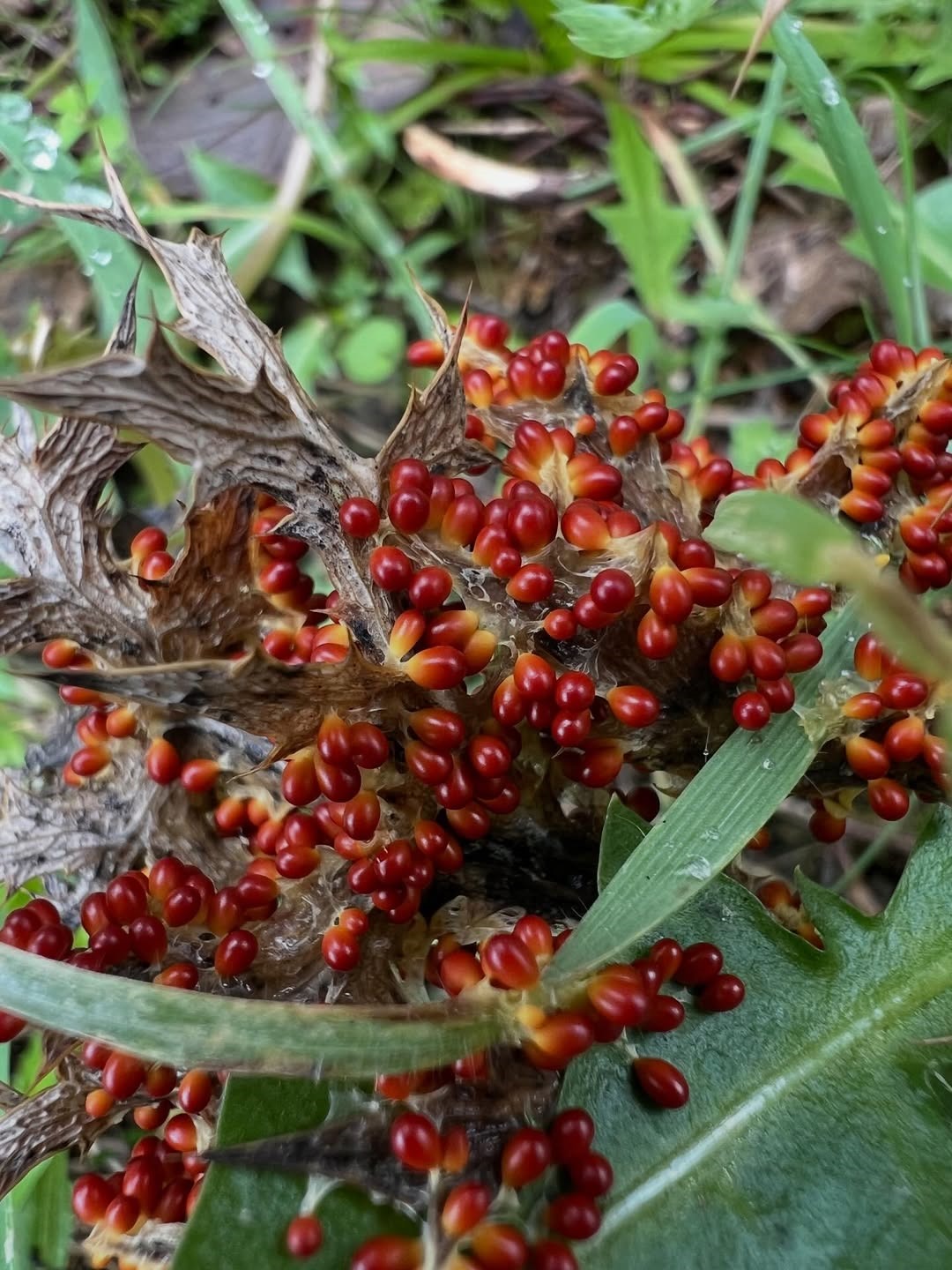 Ce858A47 3E1E 45A7 B79E C58629E115Ad