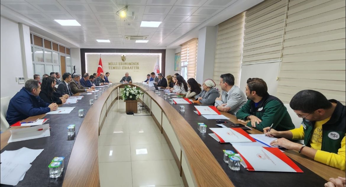 D6571130 5Ff0 4F7F 913C 7955F1A49F0F