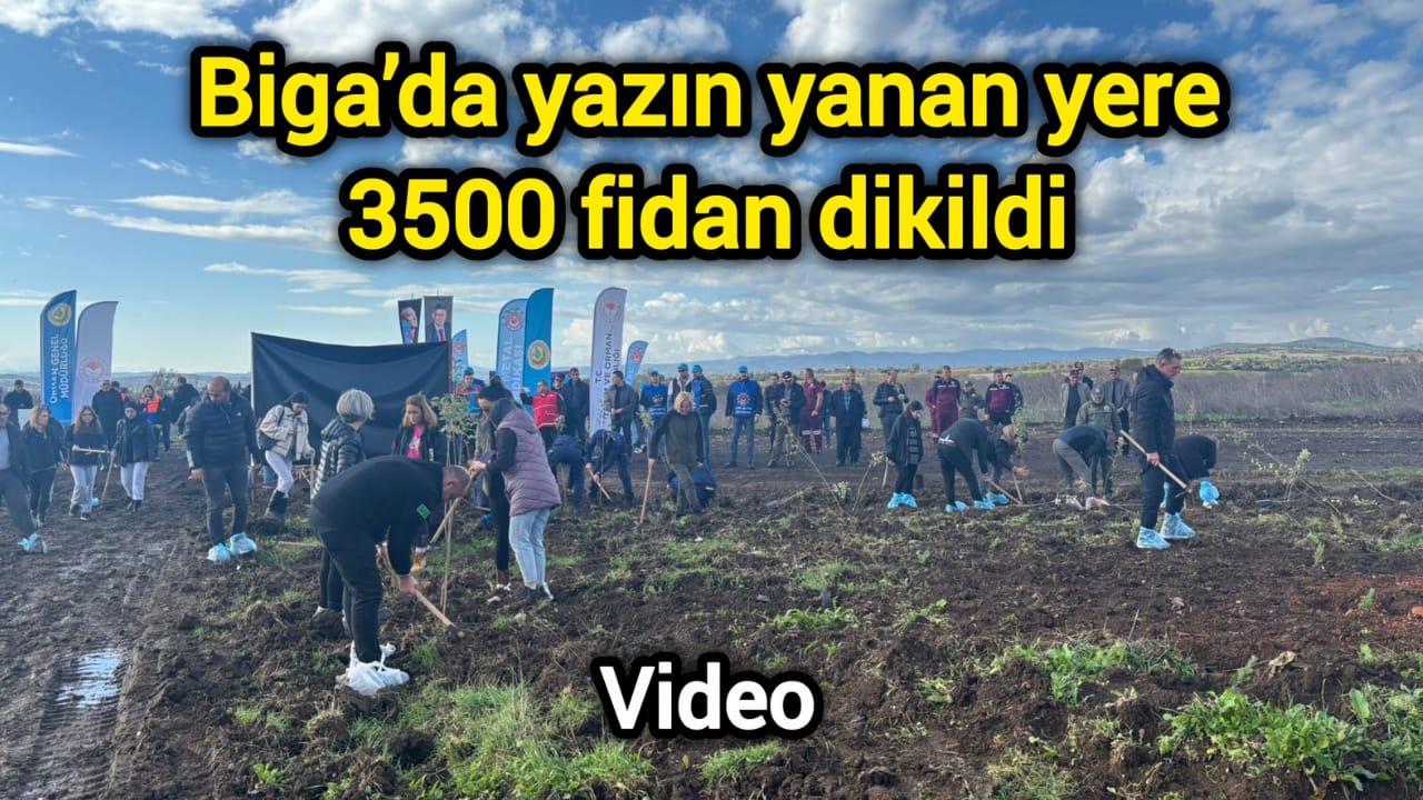 Çanakkale Biga’da yazın yanan yere 3500 fidan dikildi
