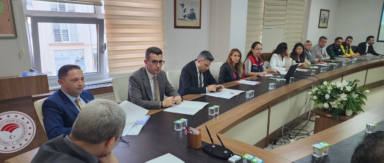 Df5993C7 787F 4523 A734 9Bcb84E063E5