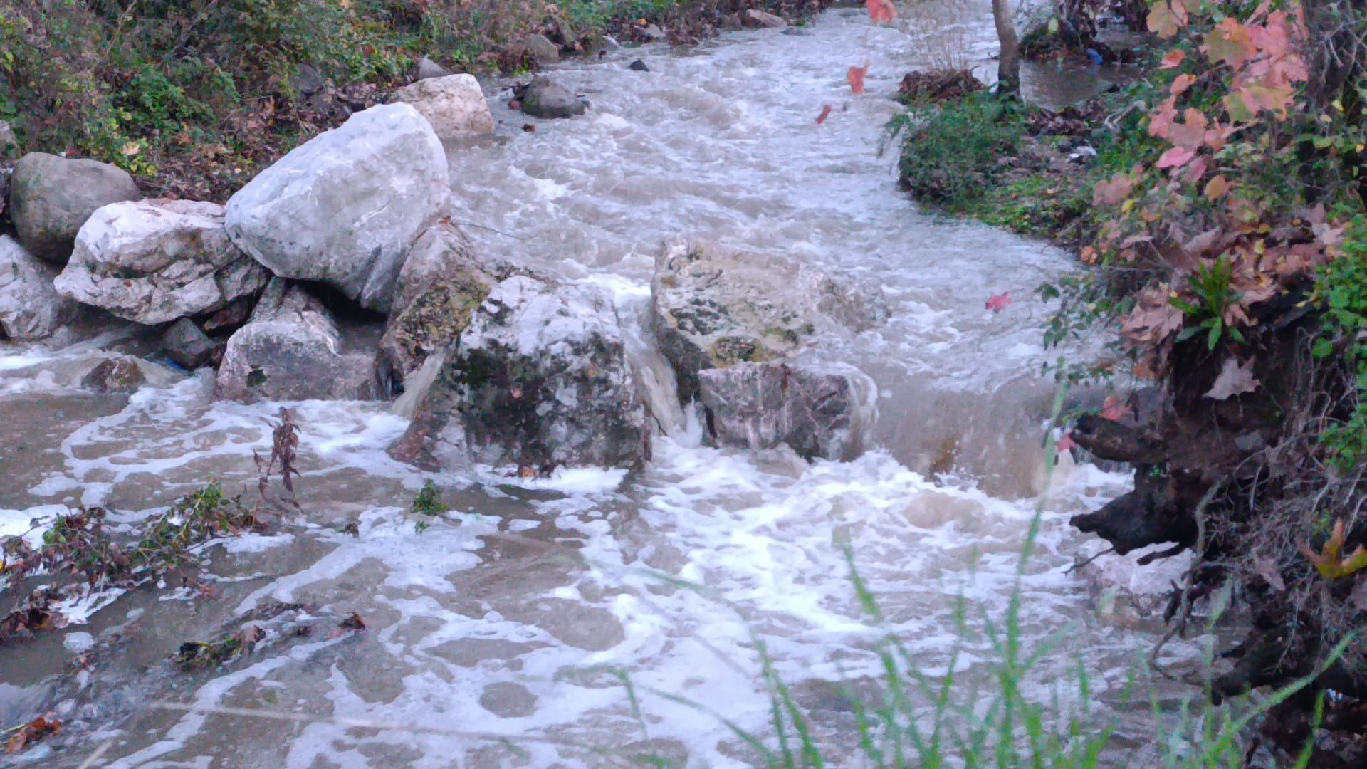 Df87944B 44A0 474D 980F 68A3Fde1205E