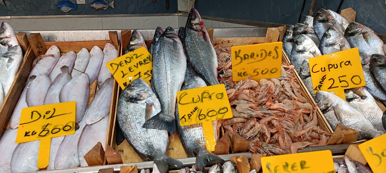 E13D1B6B Da49 4D5F B609 245C80D8822C