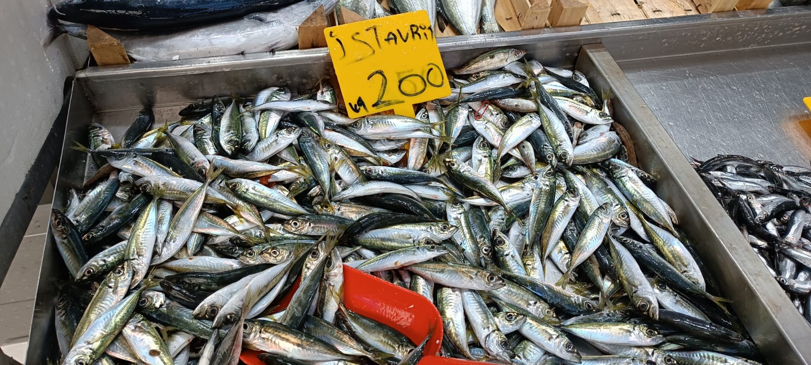 E3489F04 9122 44B1 80Cf 12C09D687Ba5