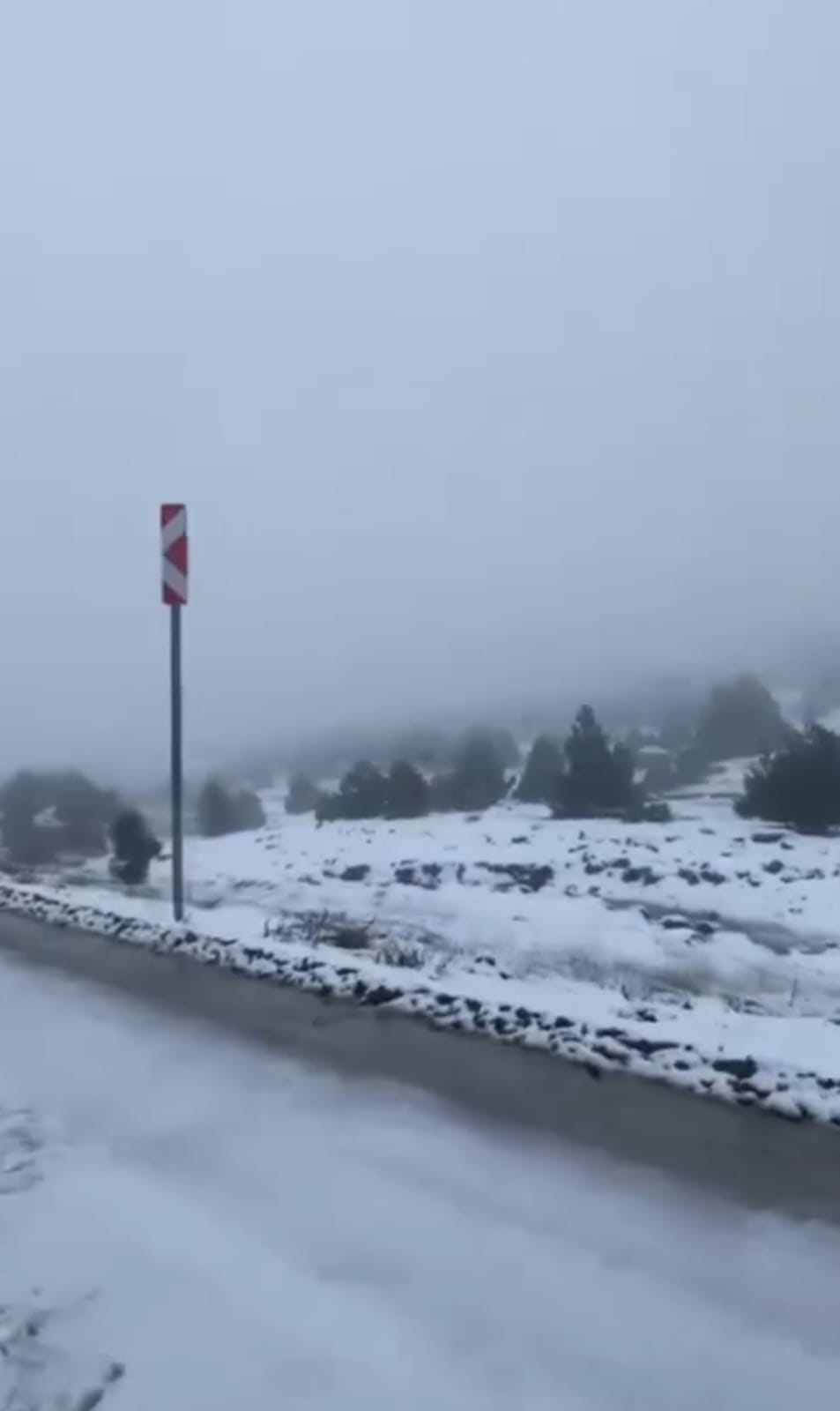 E389536F Df77 4Be5 9Ee8 B60Fc5270C42