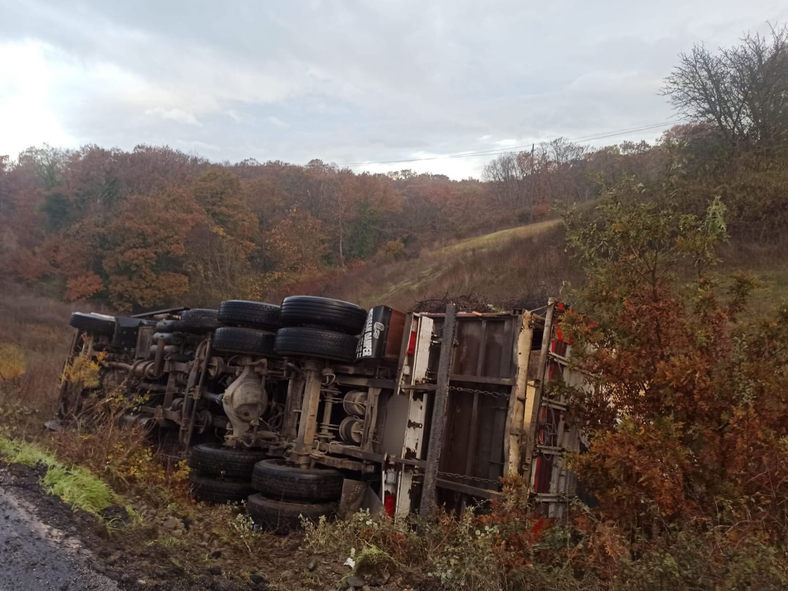 E5C03E9C B77D 4E86 Bb70 6Ac86470B624