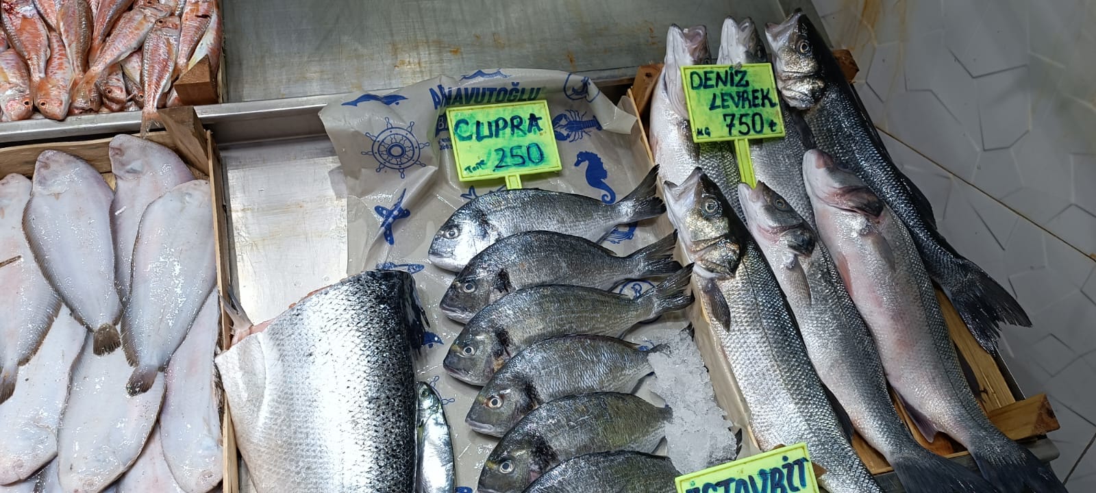 E832Fbea F0B8 49C3 928E C9A91Bfb97Ad