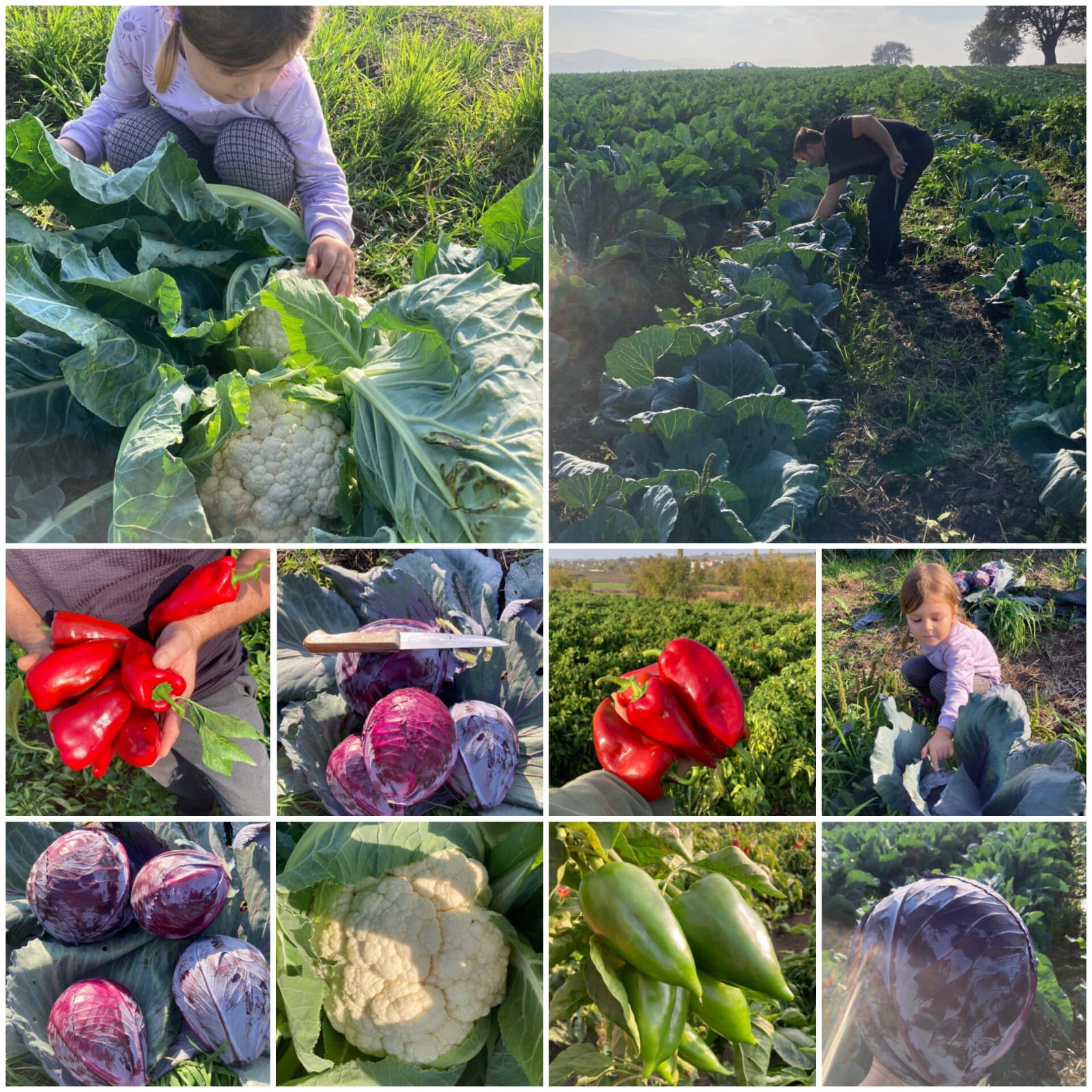 Fb41Adfa F5De 4D0C 8934 12Ba93B9248B