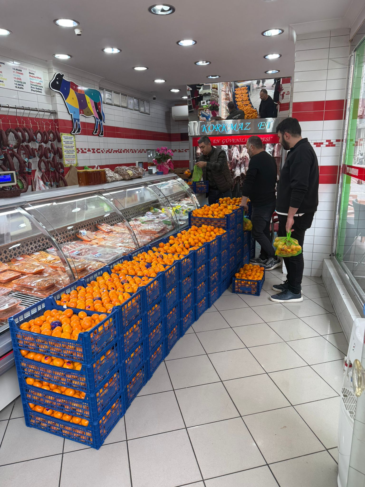 Fda1Da78 38De 47Db 8005 36Fdd3F2Ae95