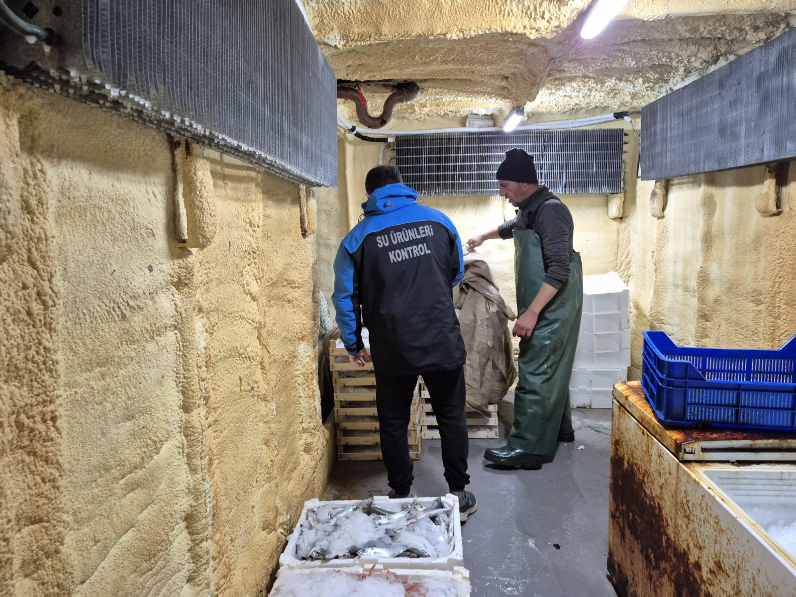 594072904 1459482435739239 5639556435808597880 N