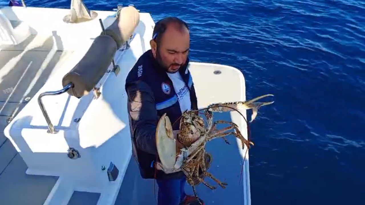 594139479 1459482342405915 8103161051954486125 N