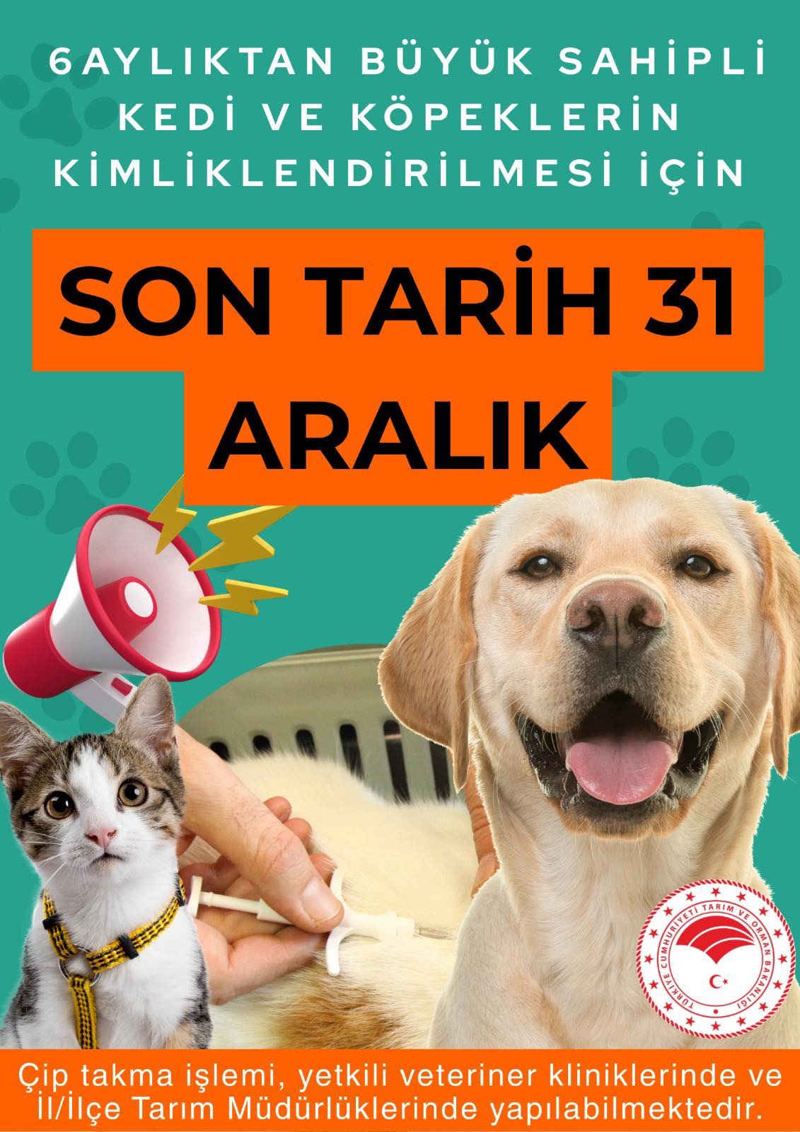 I M G 20251218 W A0003