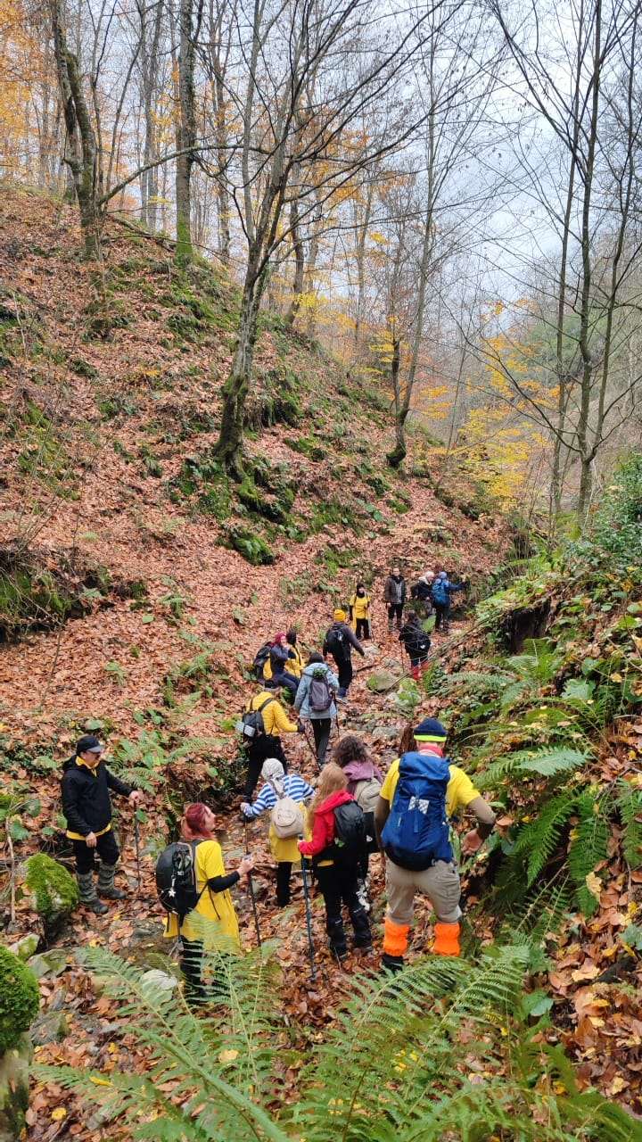 I M G 20251222 W A0032