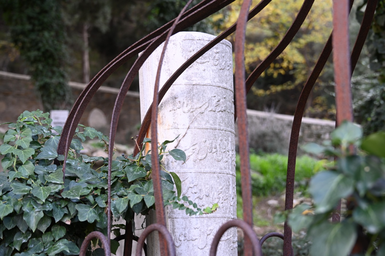 I M G 20251223 W A0085