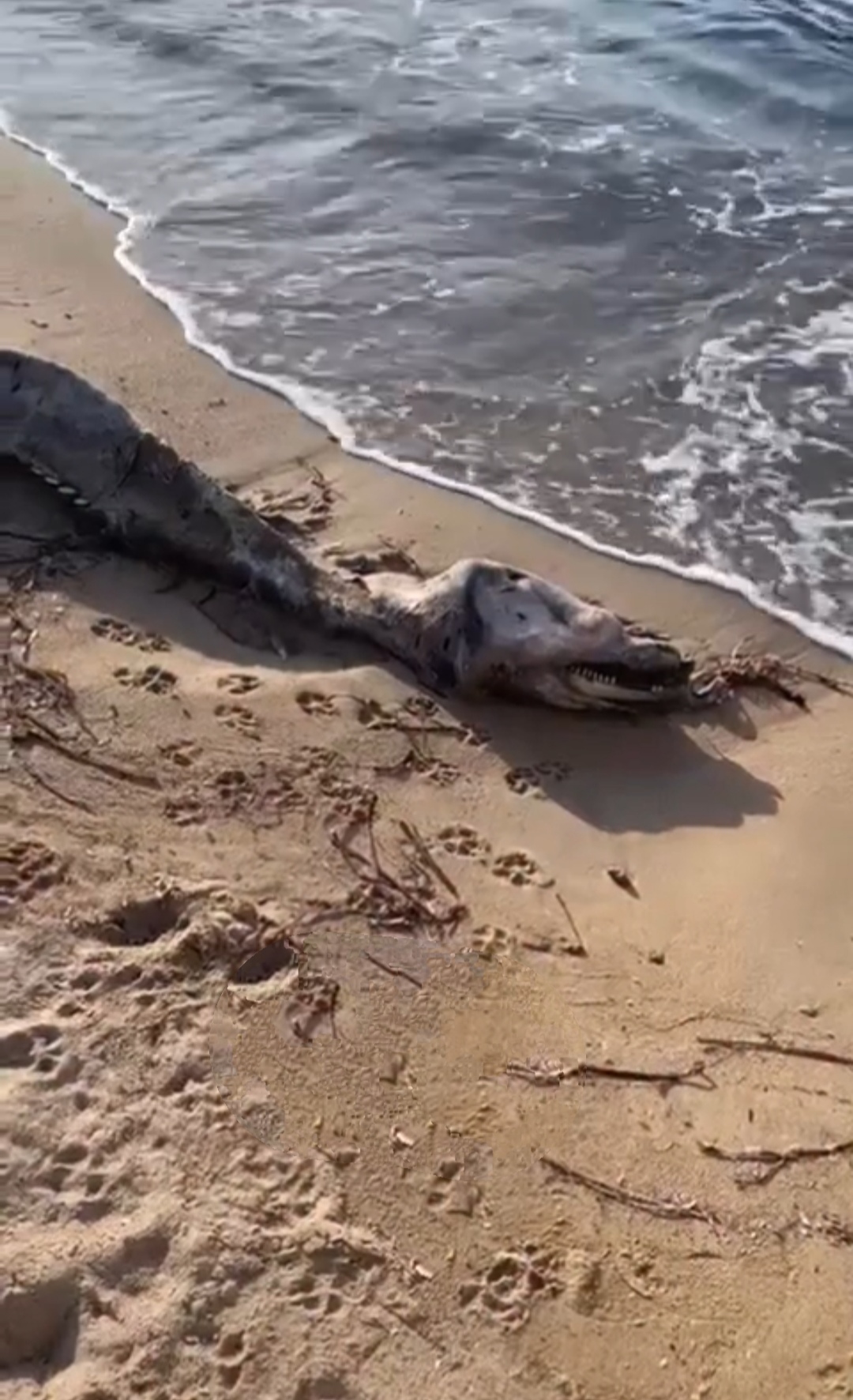 I M G 20251230 003456