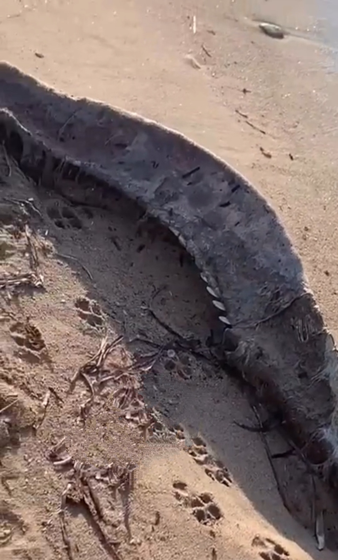 I M G 20251230 003739