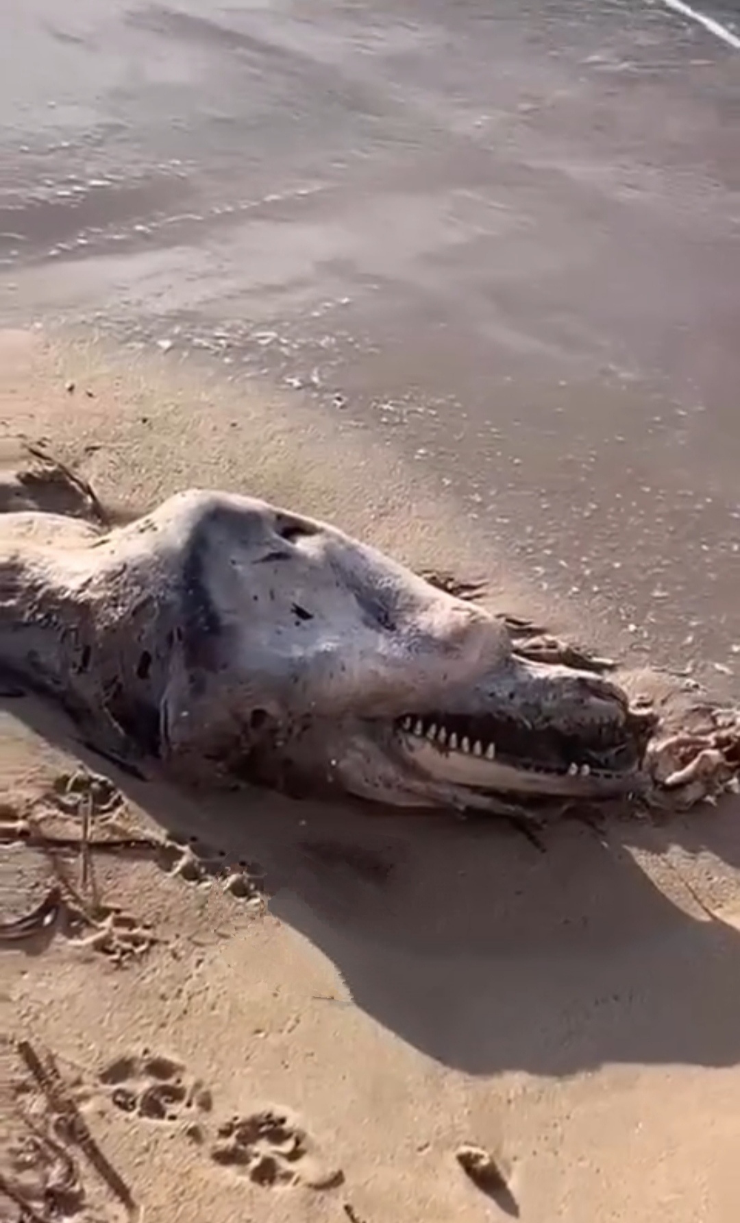 I M G 20251230 003859