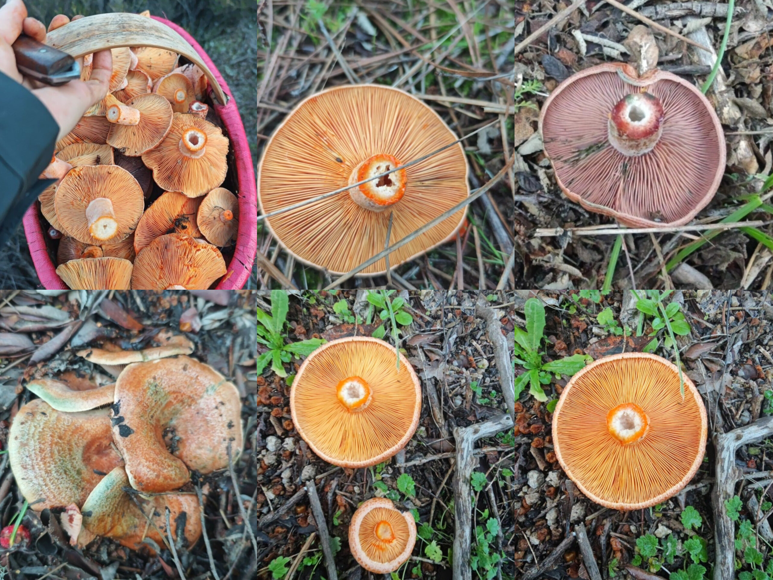 In Shot 20251219 154220987