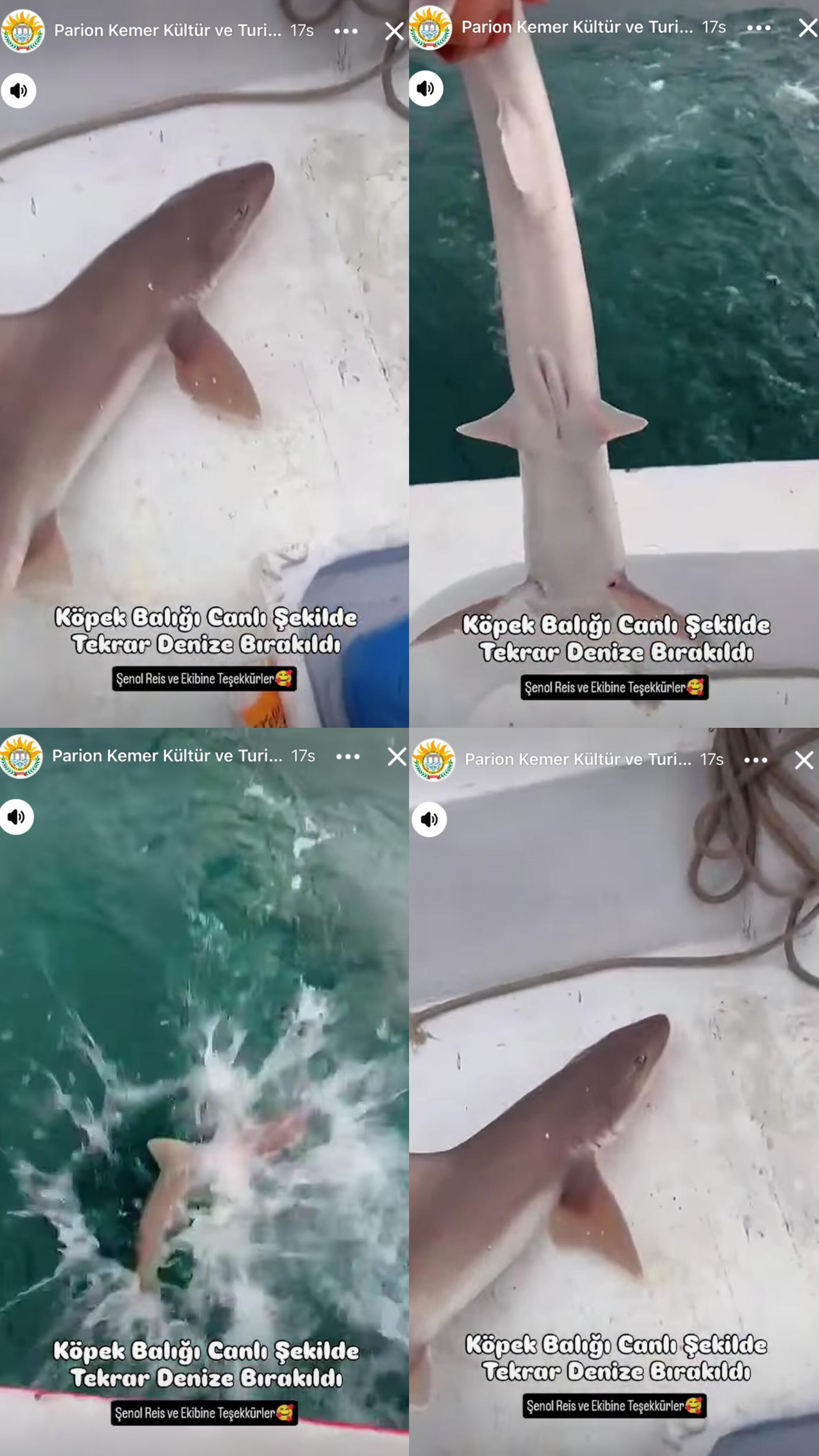 In Shot 20251223 145107831