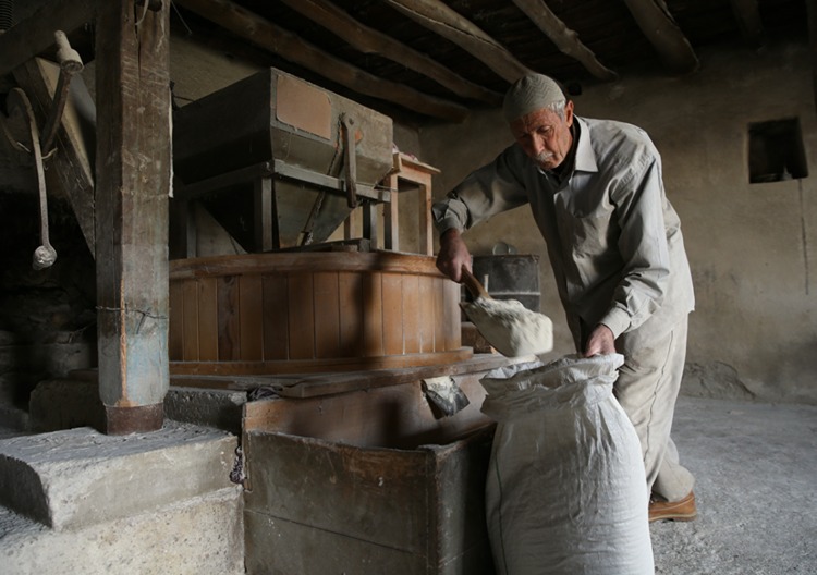 2025 12 20251205 2 71936266 119870589