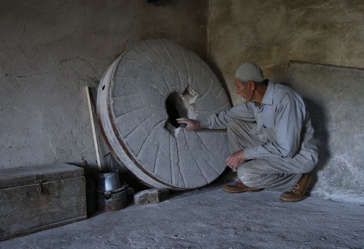 2025 12 20251205 2 71936266 119870592