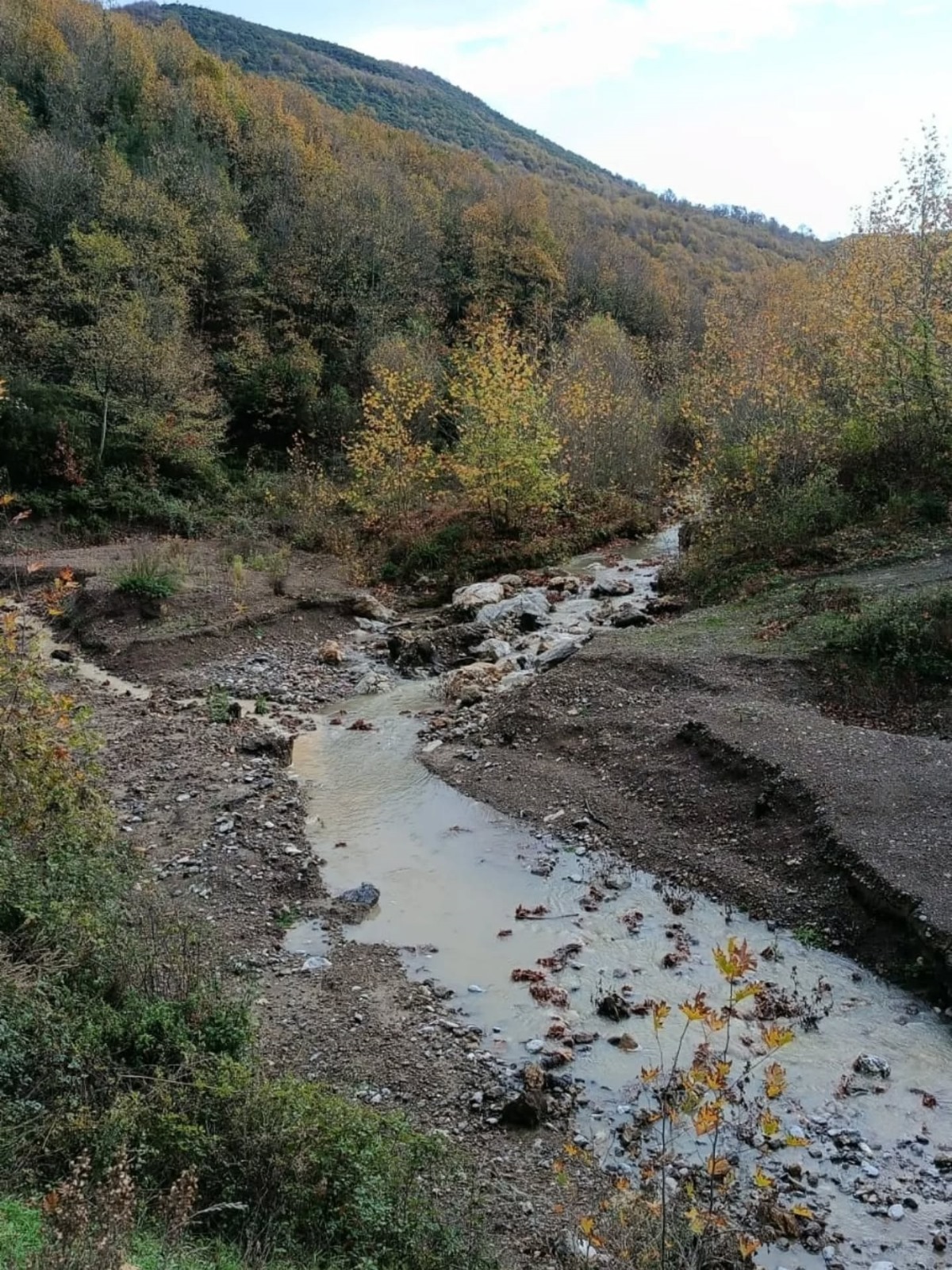 40Fca6Cd B8C3 43F0 82D0 427E8337608A