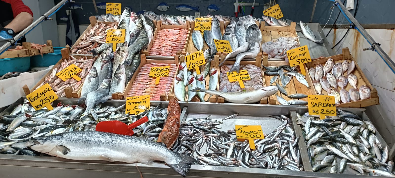 4Cc6751A 748E 456A Bb27 5Eaf683F1Bbb