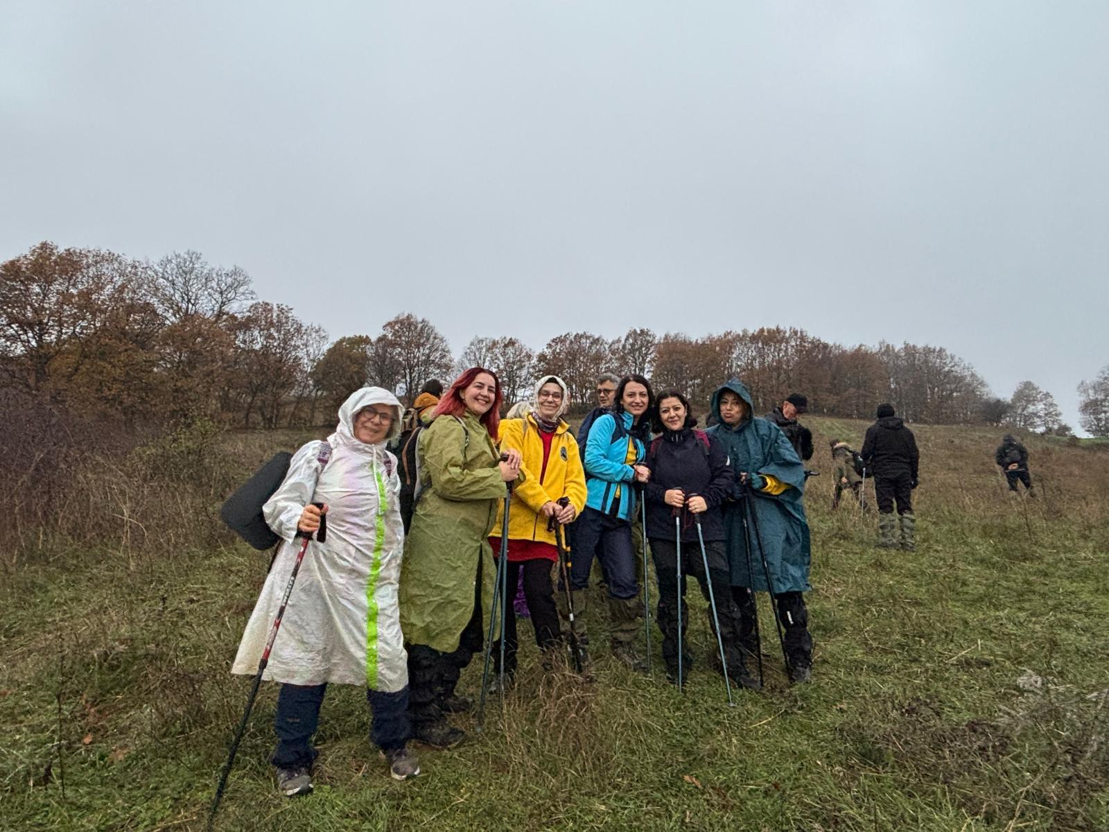 53029376 Ec61 4E59 B8Af 334A0B88Bcba