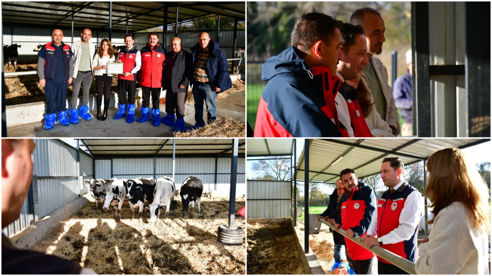 53C994Ef B862 4Aa5 8Ca7 073832Bf8784